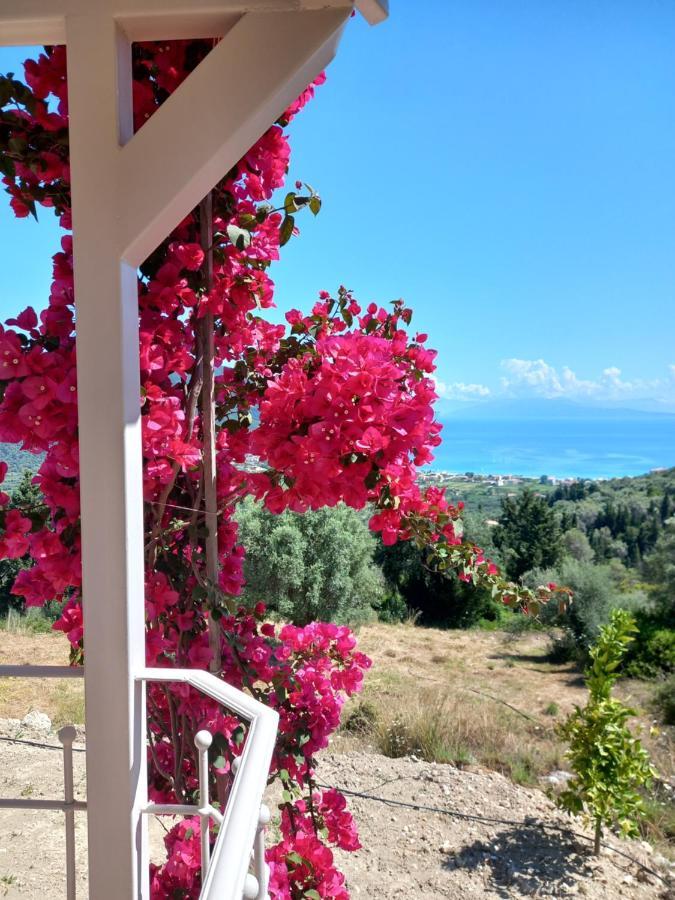 Vasiliki View Βίλα Ágios Pétros Εξωτερικό φωτογραφία